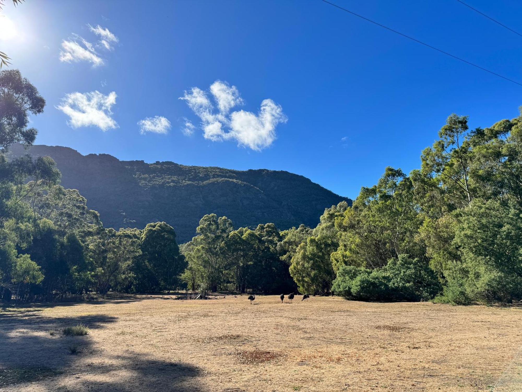Halls Gap Log Cabins Dış mekan fotoğraf