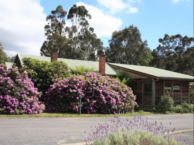 Halls Gap Log Cabins Dış mekan fotoğraf