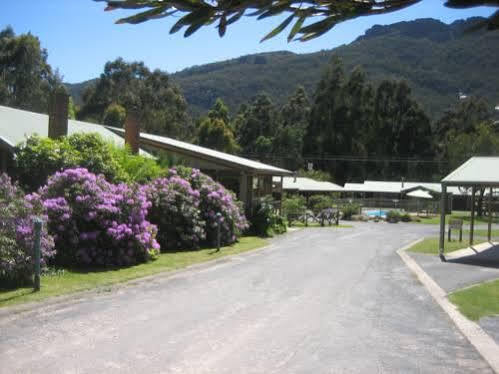 Halls Gap Log Cabins Dış mekan fotoğraf